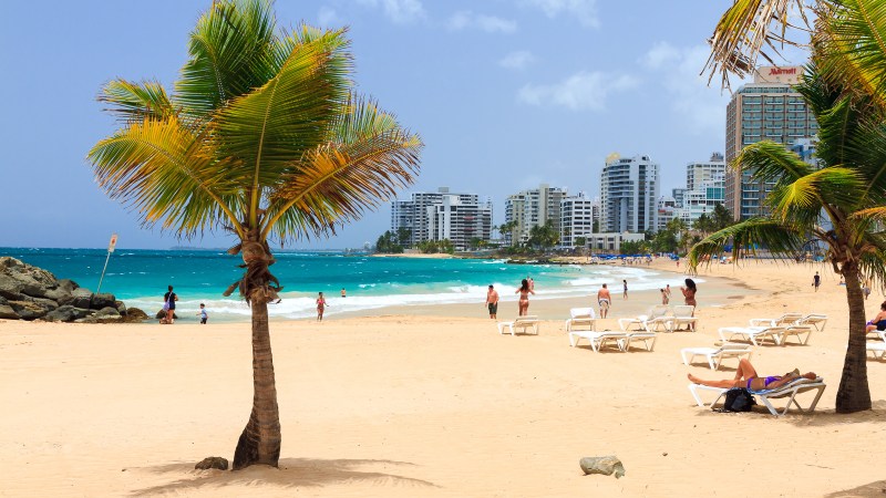 Beautiful tropical palm trees at popular touristic Condado beach in San Juan, Puerto Rico Beautiful tropical palm trees at popular touristic Condado beach in San Juan, Puerto Rico