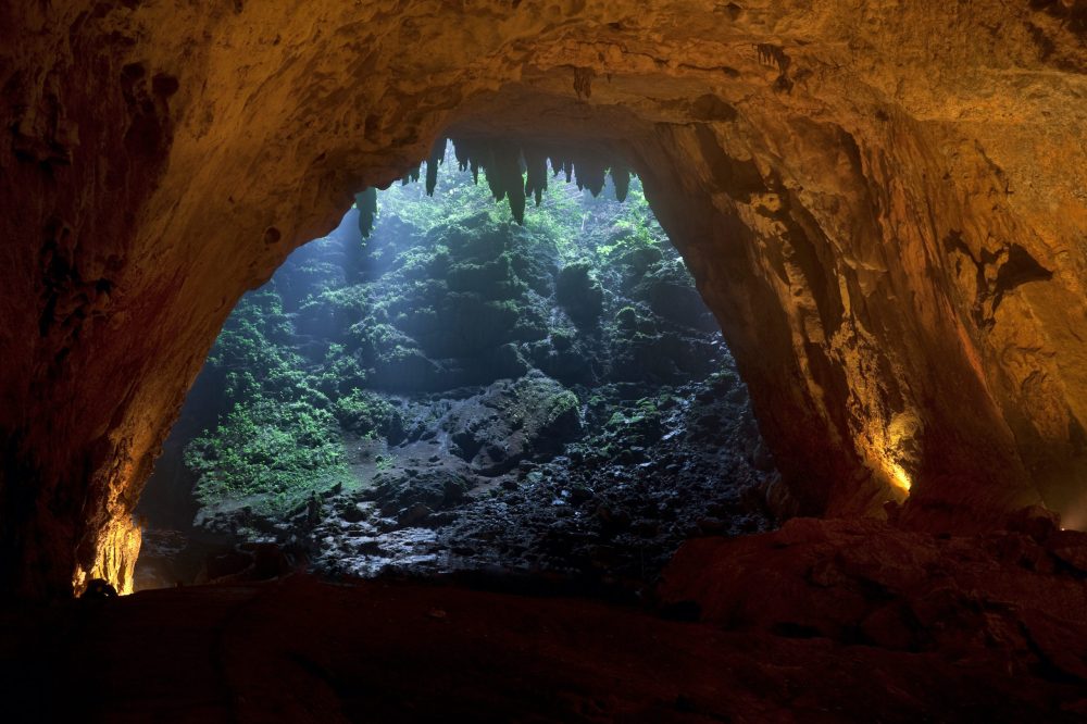 a view of a large rock with Carlsbad Caverns National Park in the background