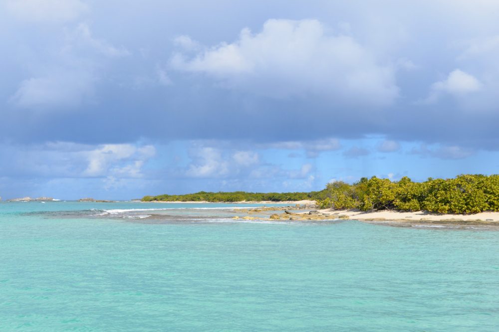 a large body of water