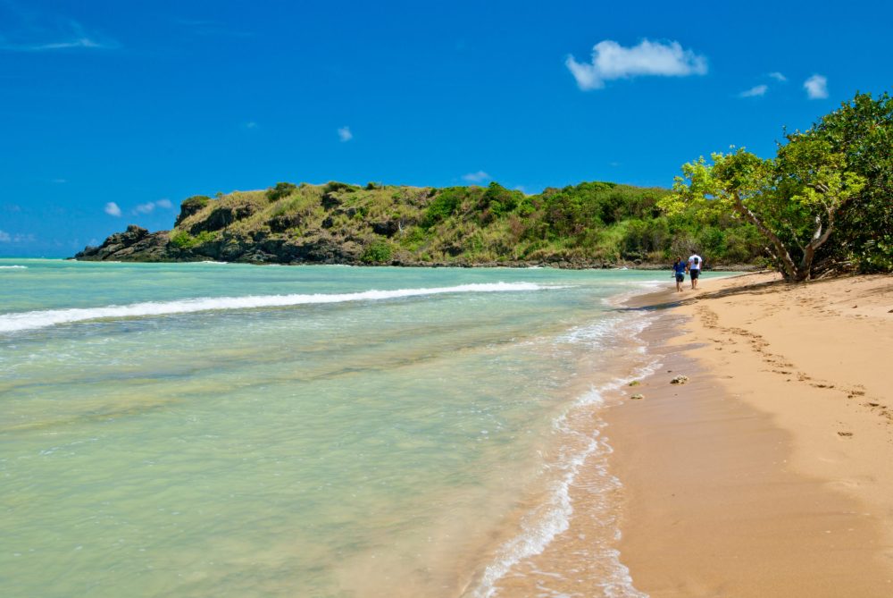 a sandy beach next to the water