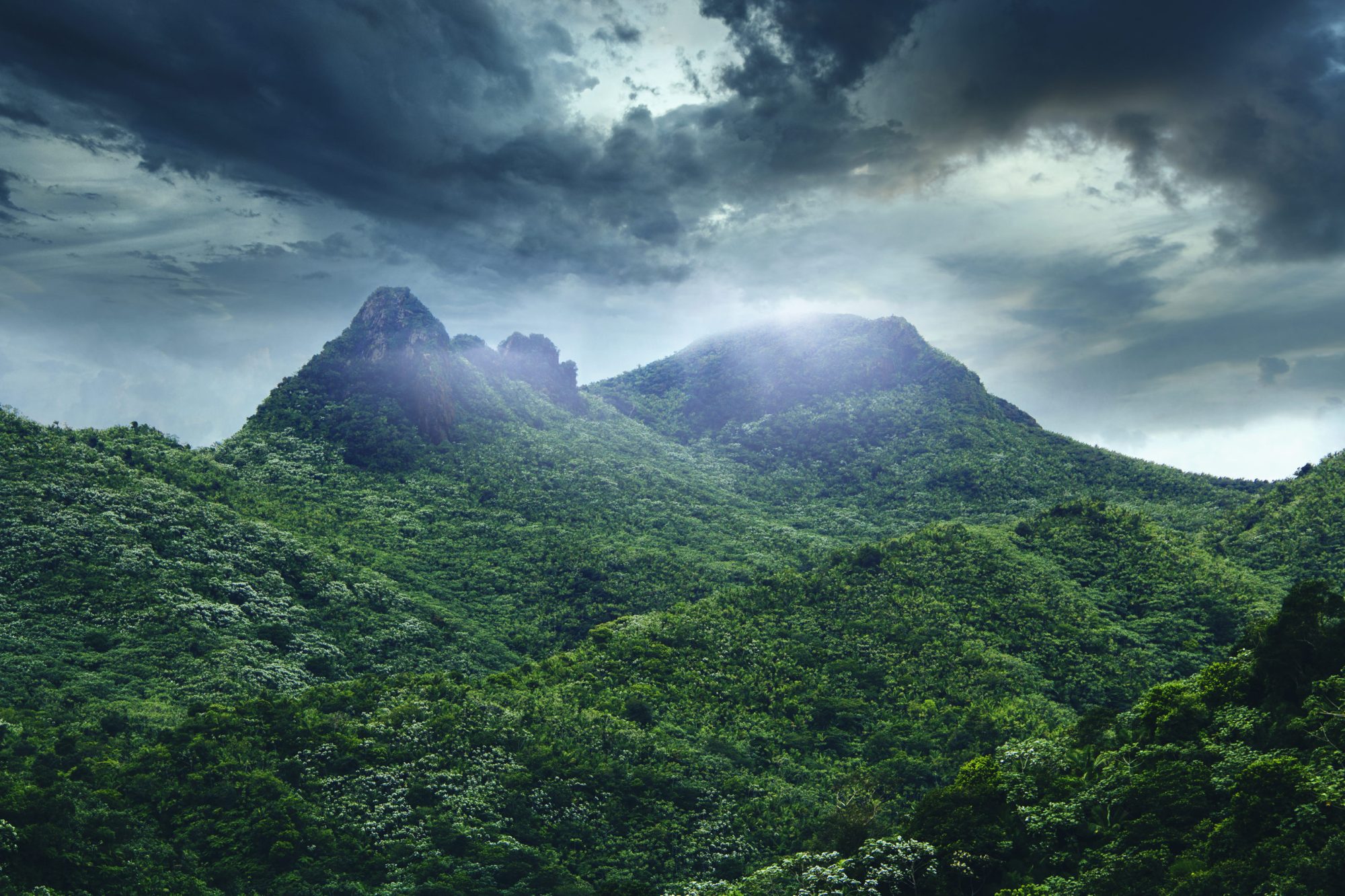 El Yunque National Forest El Yunque National Forest