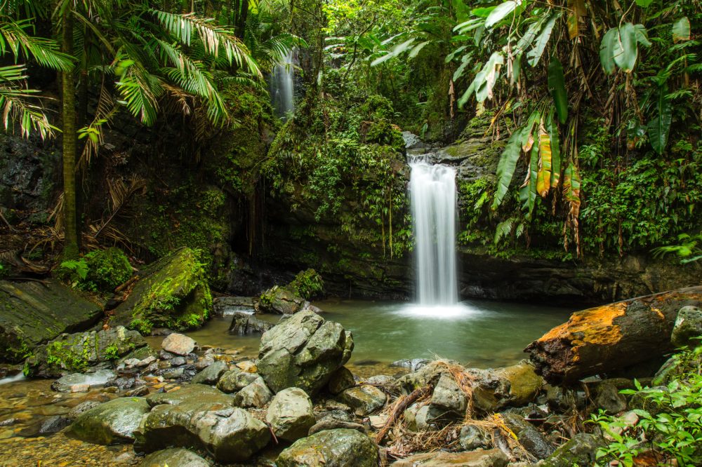 Juan Diego Falls, El Yunque, Puerto Rico