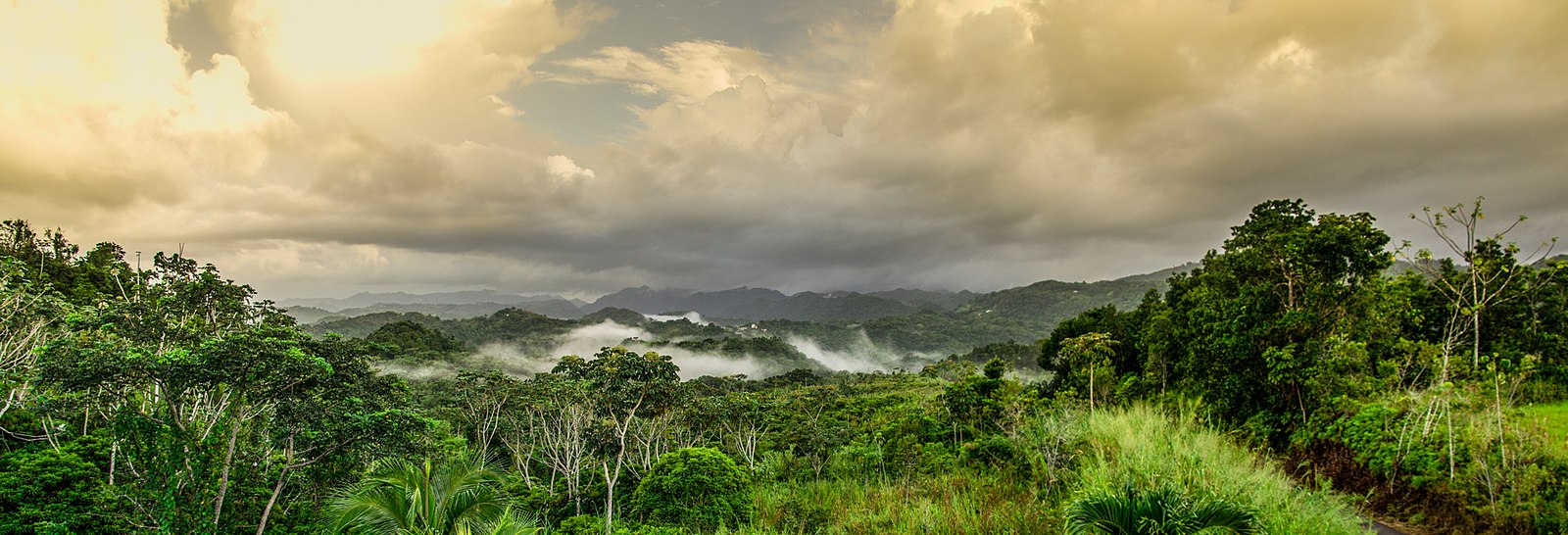 Image by R9 Studios FL on Flickr a group of clouds in the sky over a body of water