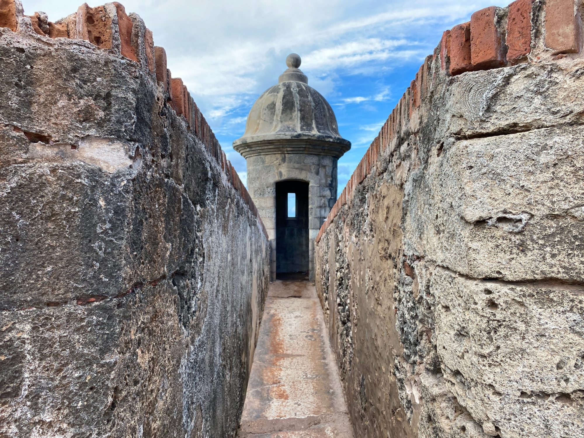 ismael-marte-79jNpfrGoWA-unsplash ismael-marte-79jNpfrGoWA-unsplash