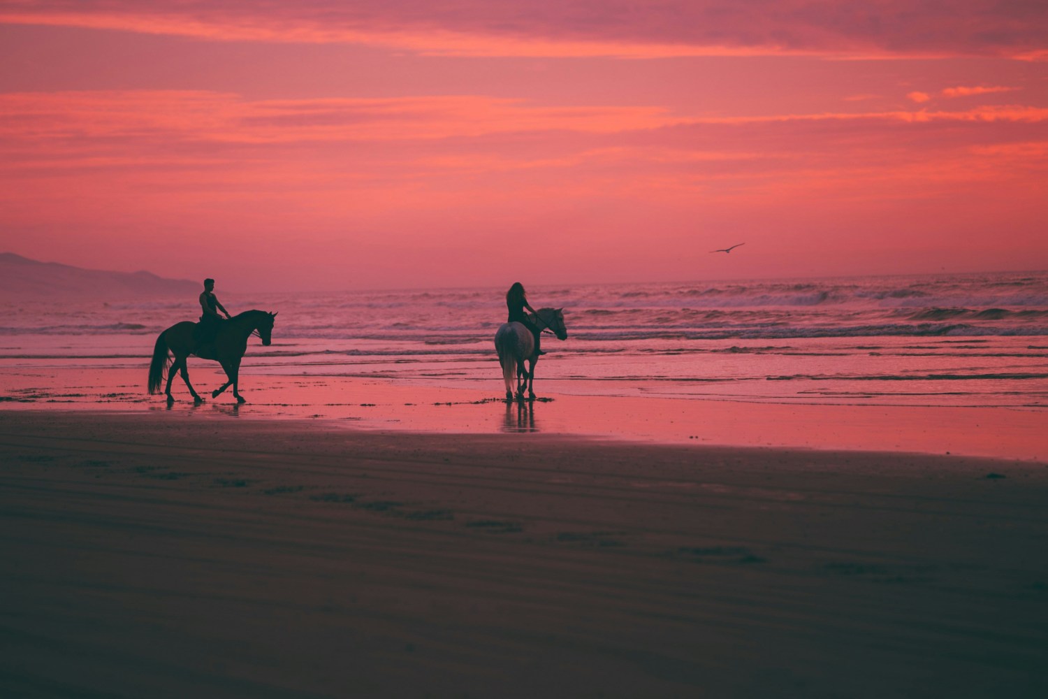 a man riding a horse on a beach with a sunset in the background