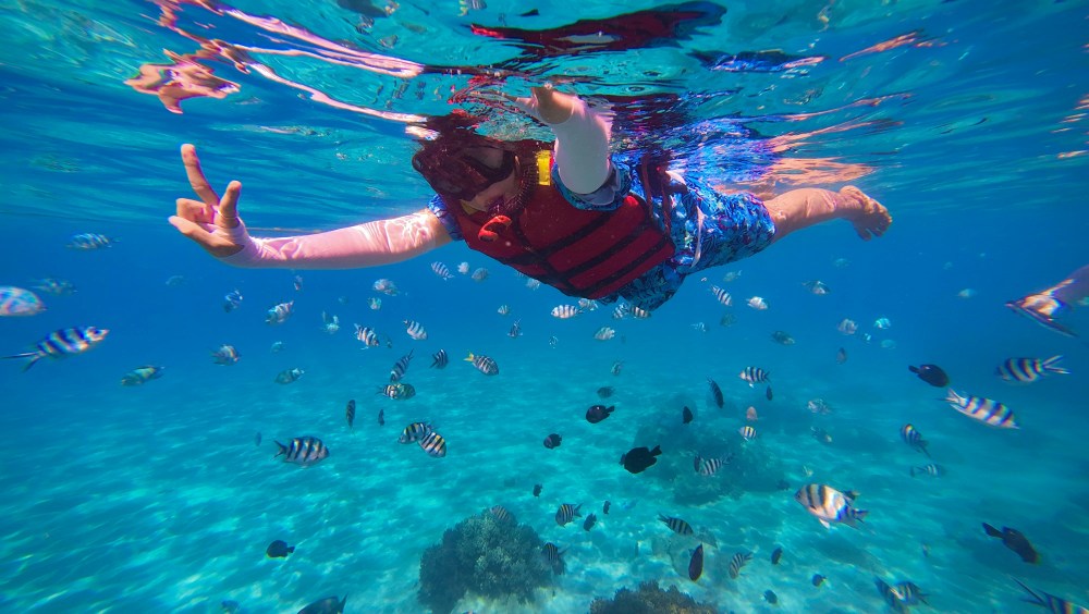 Person snorkeling underwater with colorful fish in clear water.