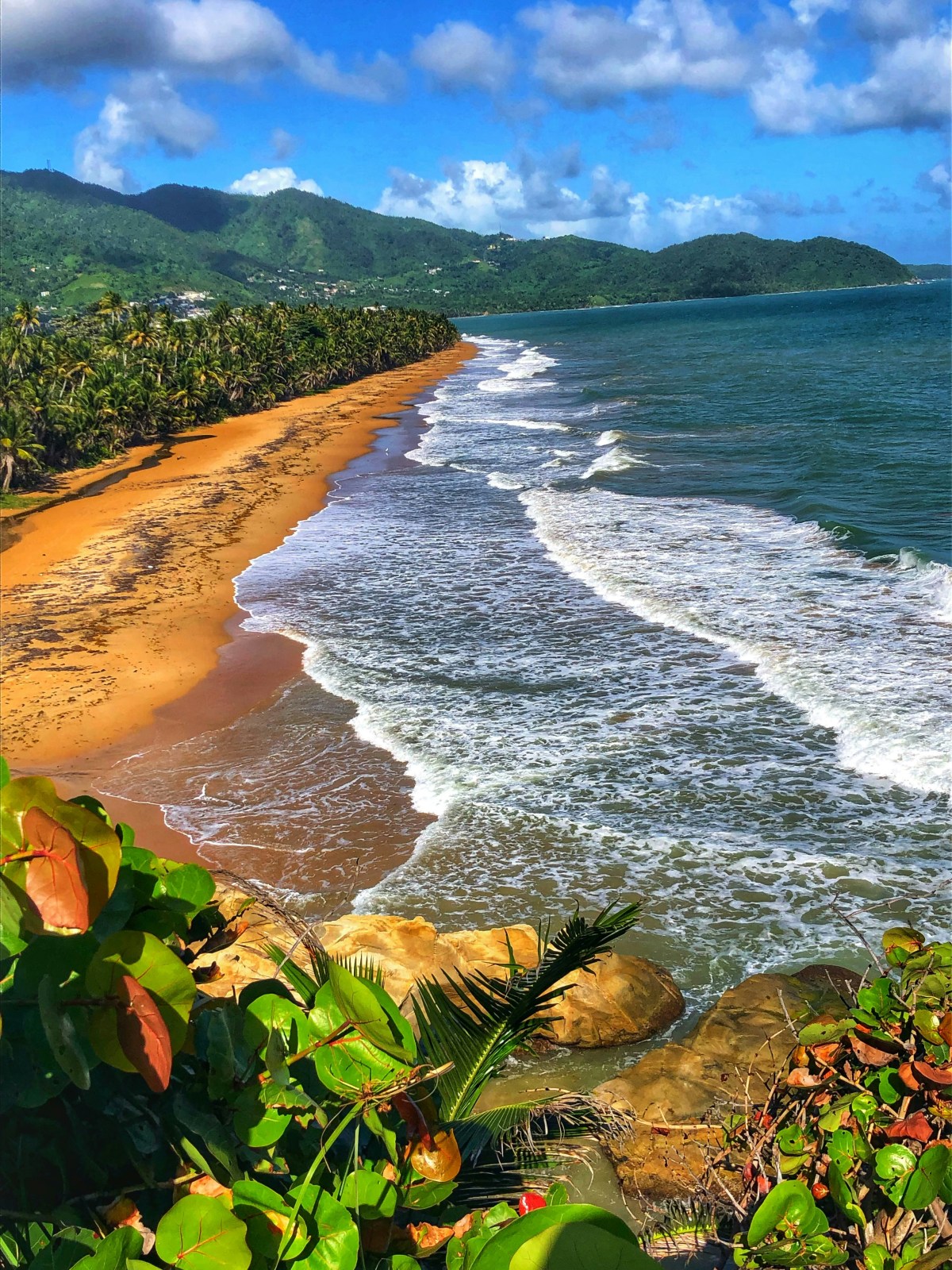 Aerial view of a tropical beach with waves, palm trees, and distant green hills under a blue sky.